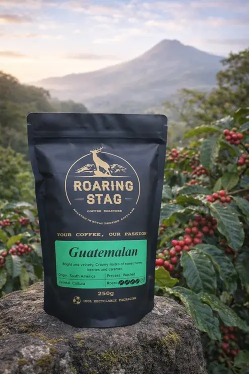 Guatemalan