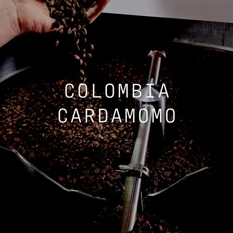 Cardamomo