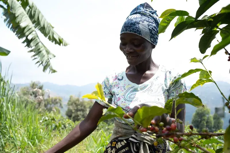 Burundi - Migoti Hill Lot 1