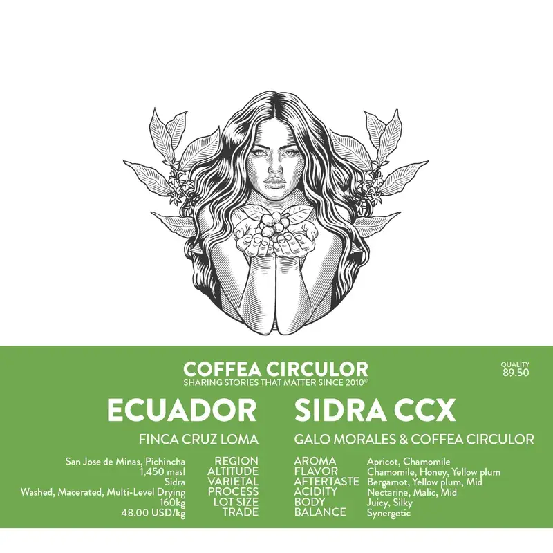 Finca Cruz Loma Sidra CCX