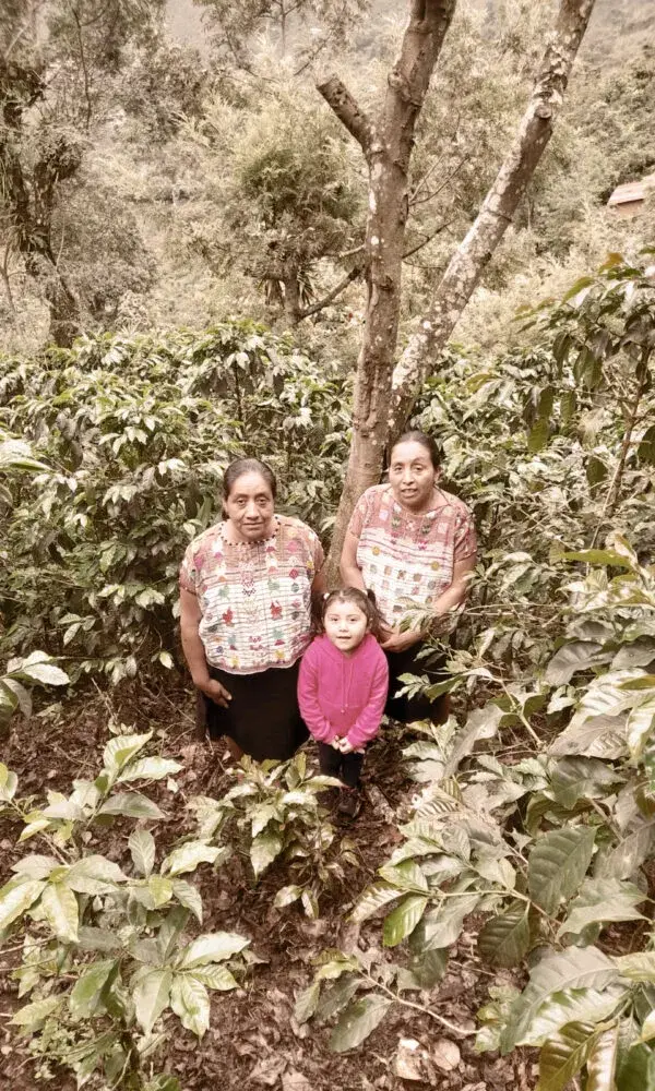 Familia Mendez