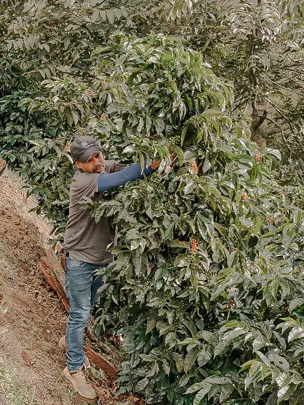 Costa Rica - Joiner Alvarado