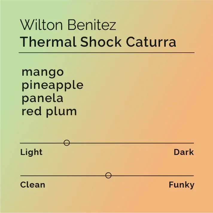 Wilton Benitez - Thermal Shock Caturra