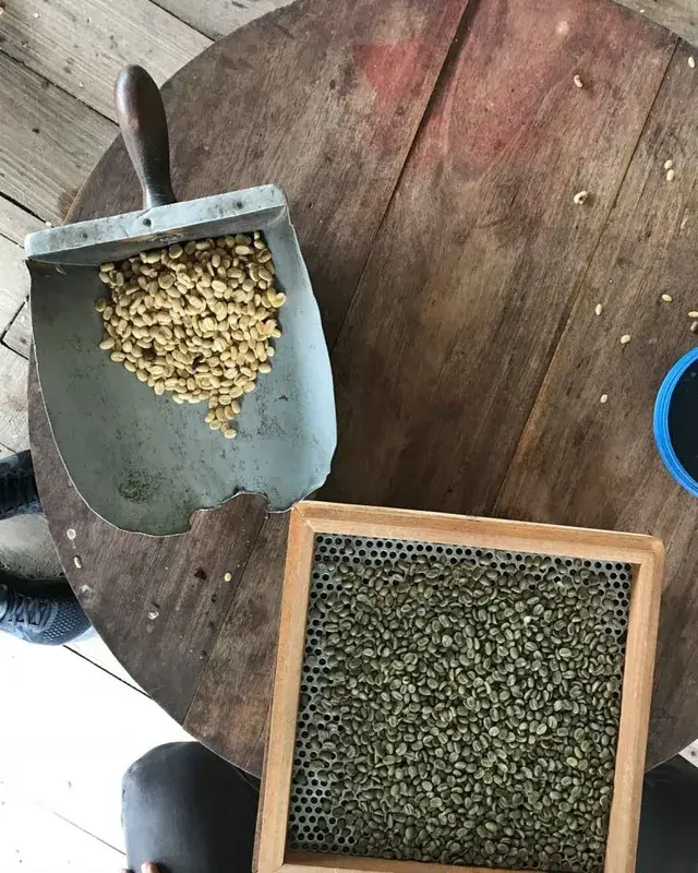 Colombia - San Jose Heirloom