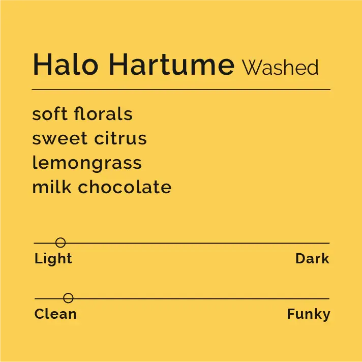 R Halo Hartume Washed