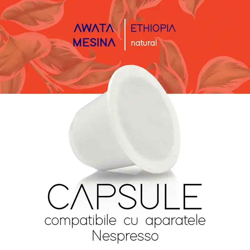 Awata Mesina, Ethiopia (Natural)