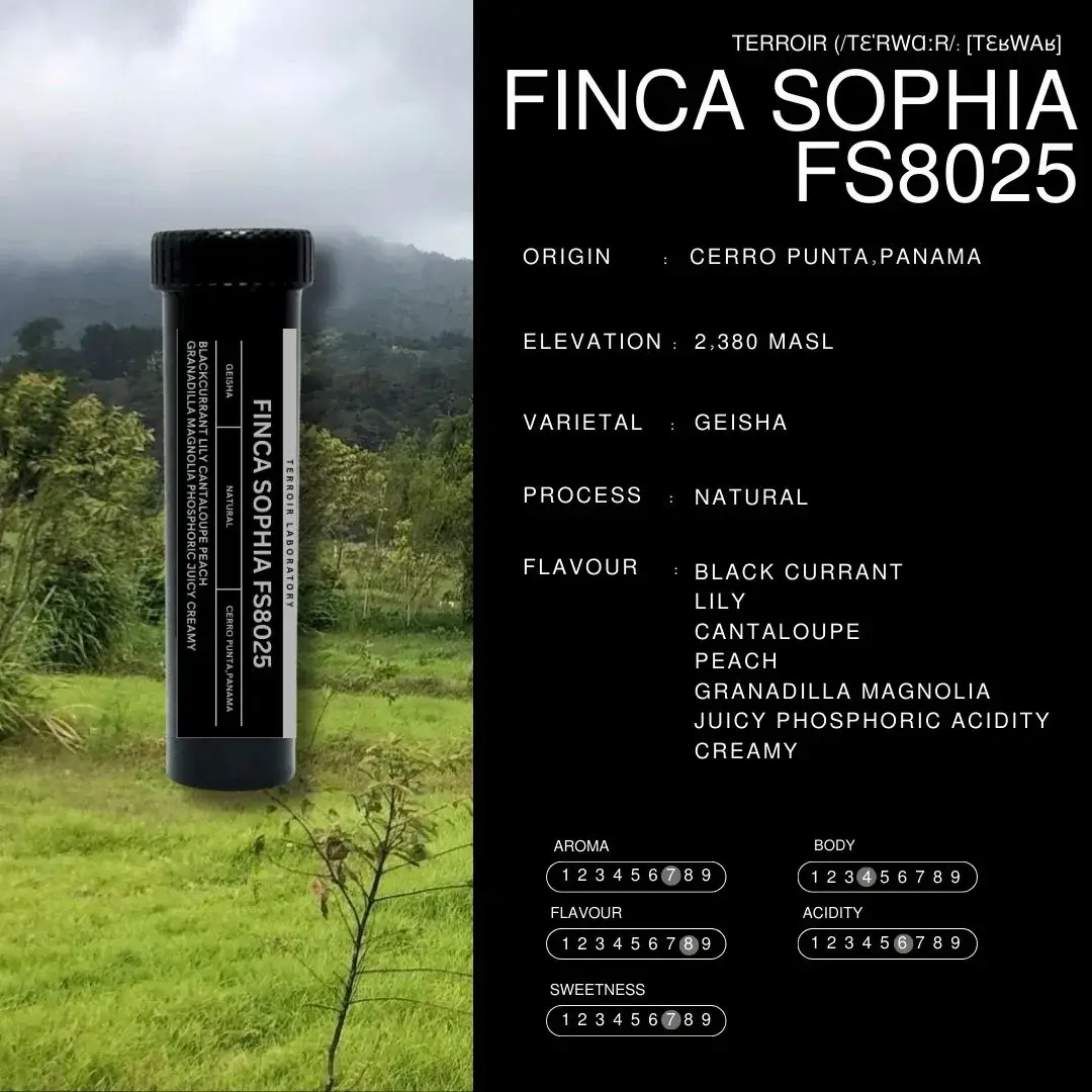 Finca Sophia FS8025
