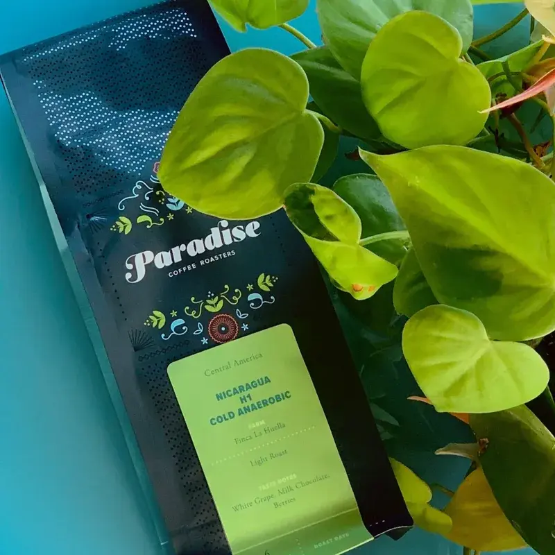 Nicaragua La Huella H1 Cold Anaerobic