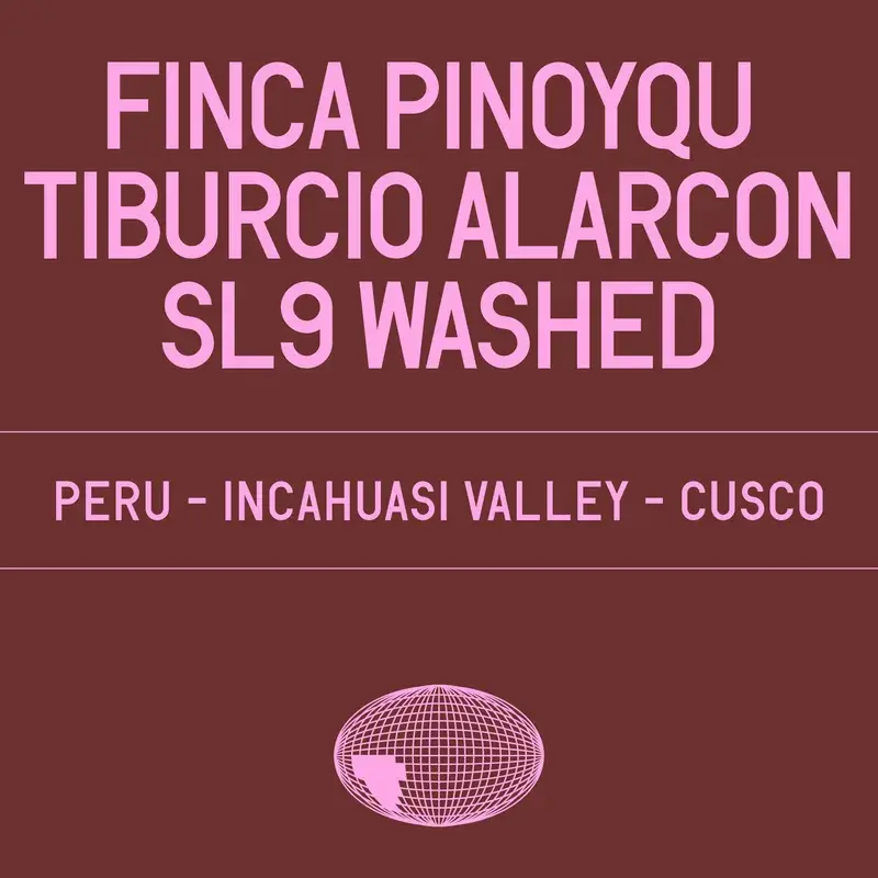 Finca Pinoyqu - Tiburcio Alarcon SL9 Washed