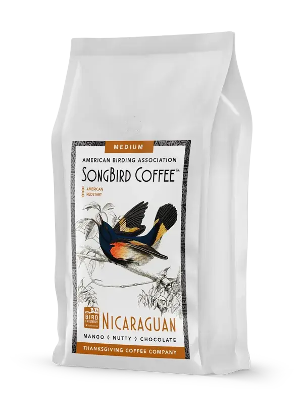 SongBird Nicaraguan