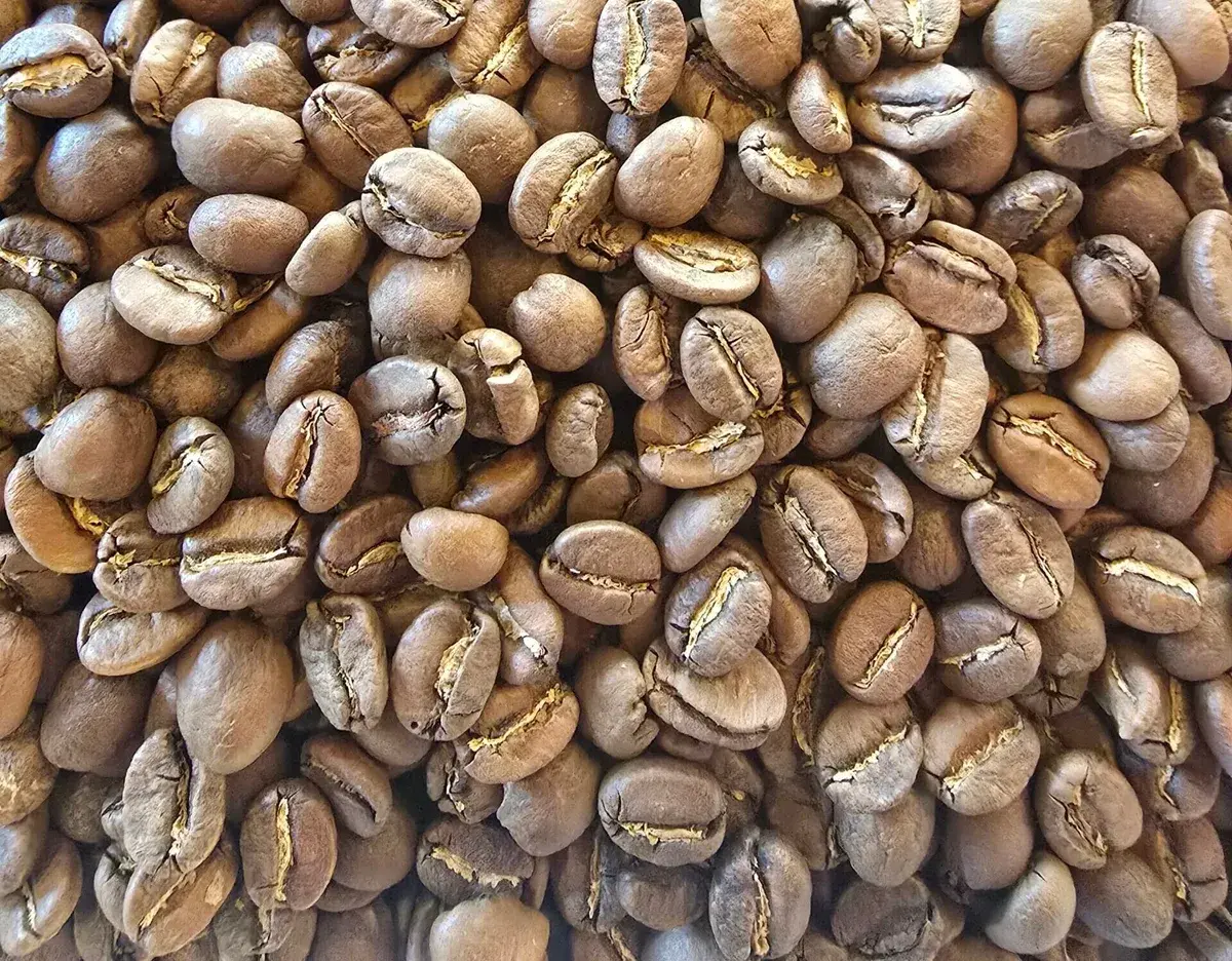 Kenya AA Plus