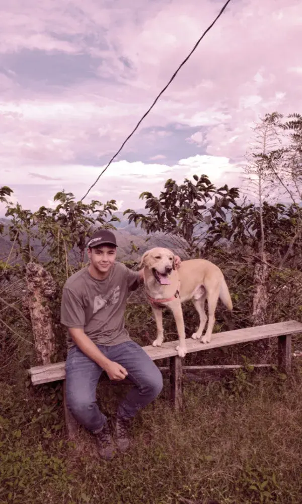 Buena Vista