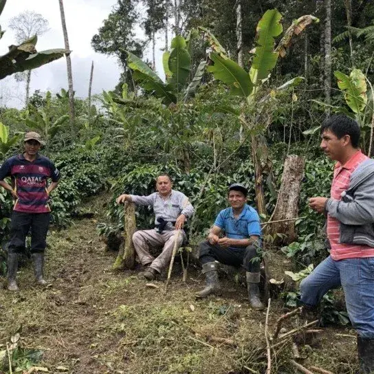 Peru San Ignacio