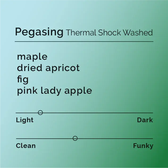 Pegasing - Thermal Shock Washed