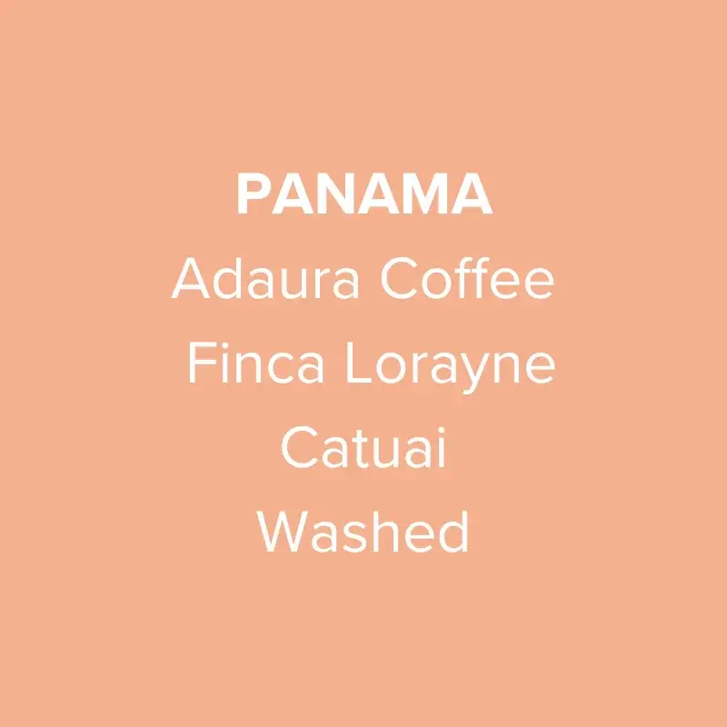 Panama Adaura Coffee Catuai Washed