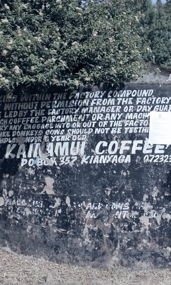 Kainamui