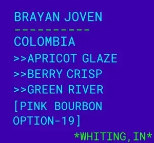 Brayan Joven