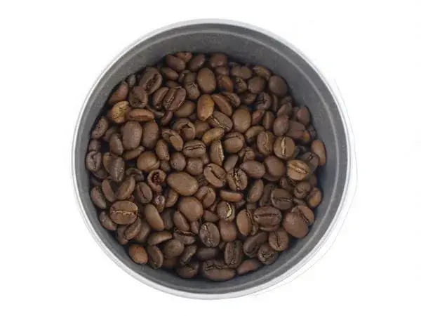 Rio Blend