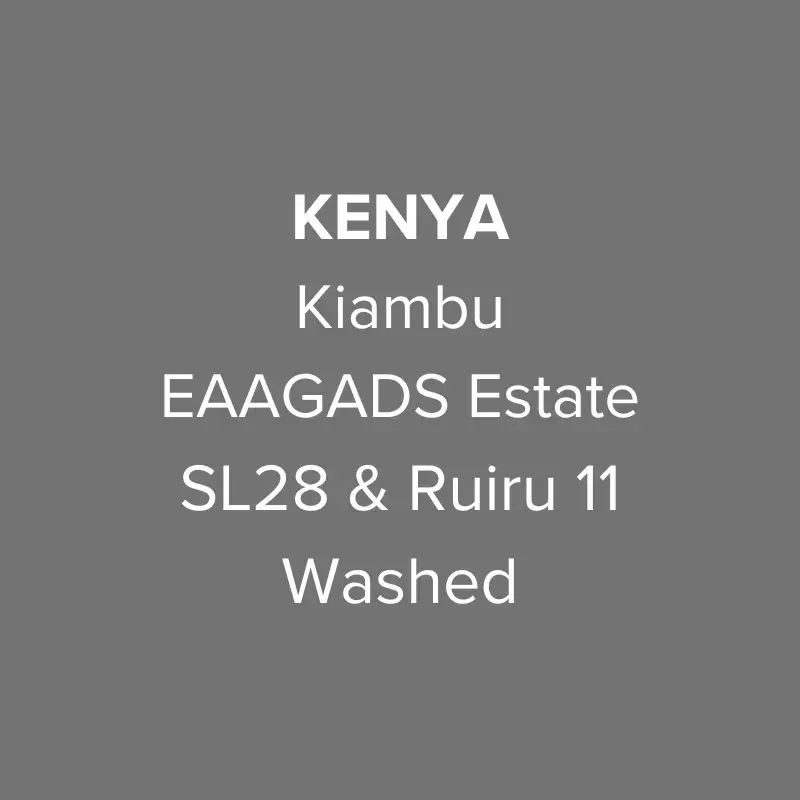 Kenya Kiambu EAAGADS Estate SL28 & Ruiru 11 Washed AA TOP (Filter)
