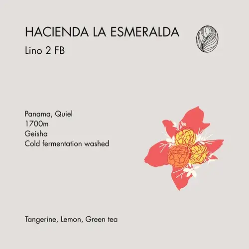 Hacienda La Esmeralda Lino 2FB Cold Fermentation Washed Geisha