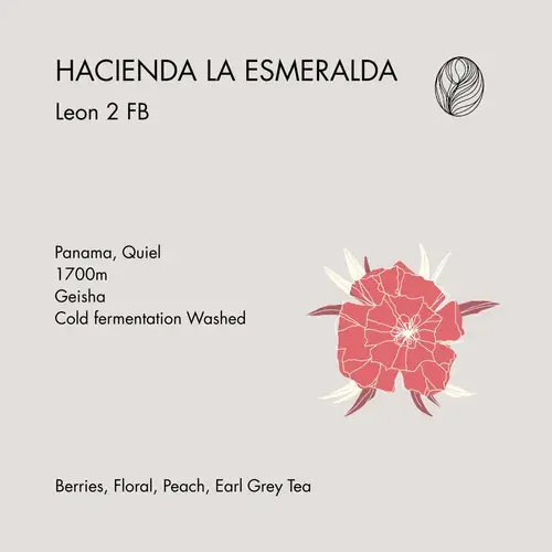 Panama Hacienda La Esmeralda Leon 2FB – Cold Fermentation Washed Geisha