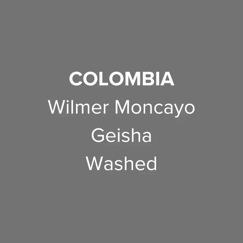 Colombia Wilmer Moncayo Geisha Washed Filter