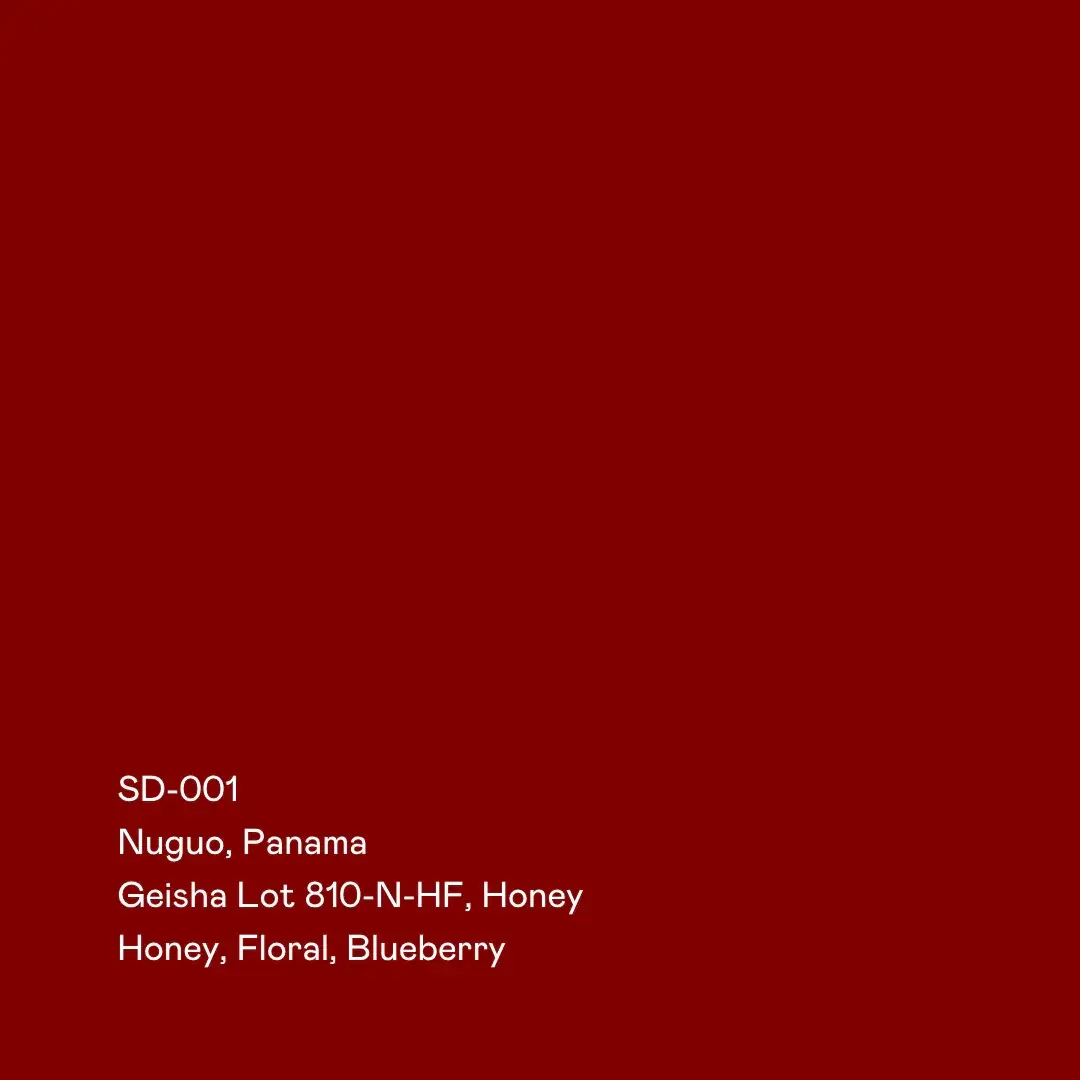 Nuguo Lot 810-N-HF, Geisha Honey