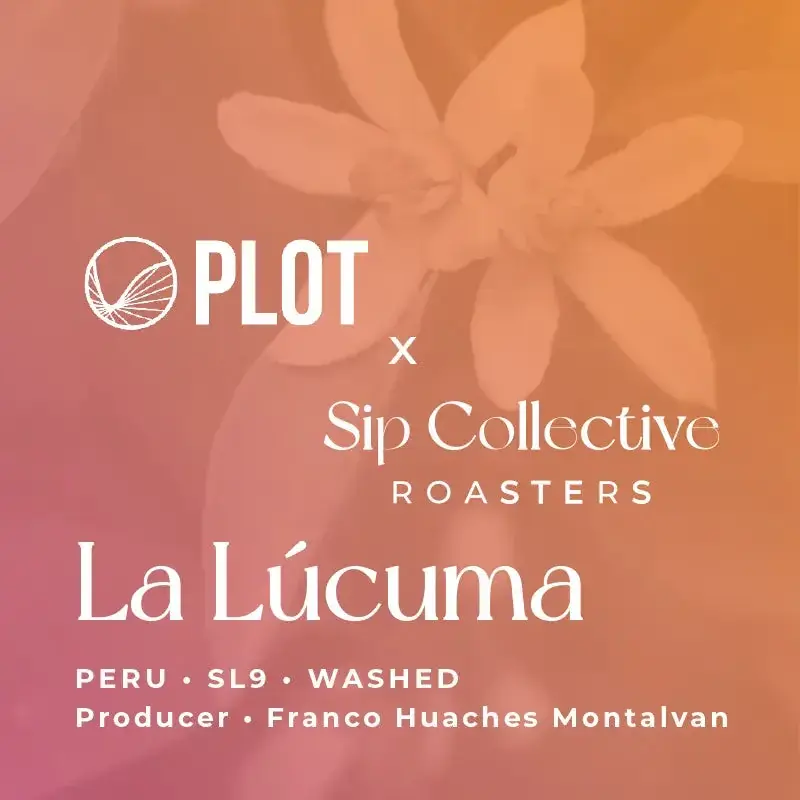 Franco Huaches, SL9 (Inca Gesha)