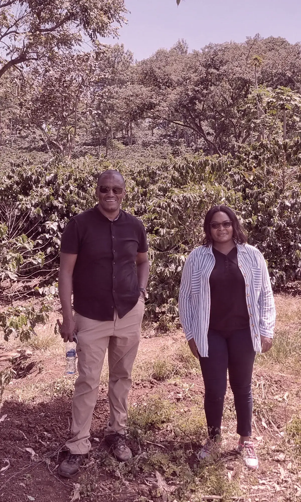 Finca de Cafe Natural