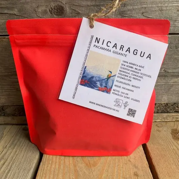 Nicaragua Pacamara Gigante