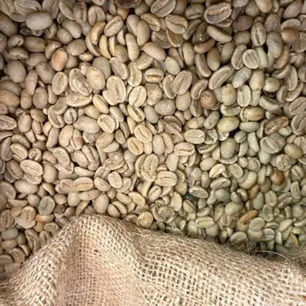 Papua New Guinea Y Grade