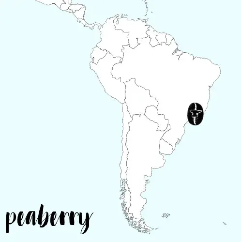 Peaberry Brazil Yellow Bourbon Natural Carbon Neutral