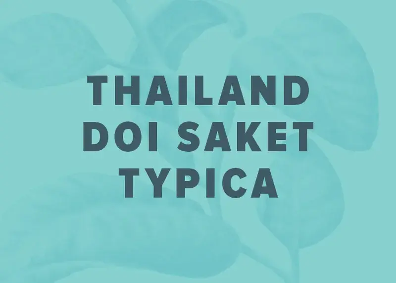 Thailand Doi Saket Typica