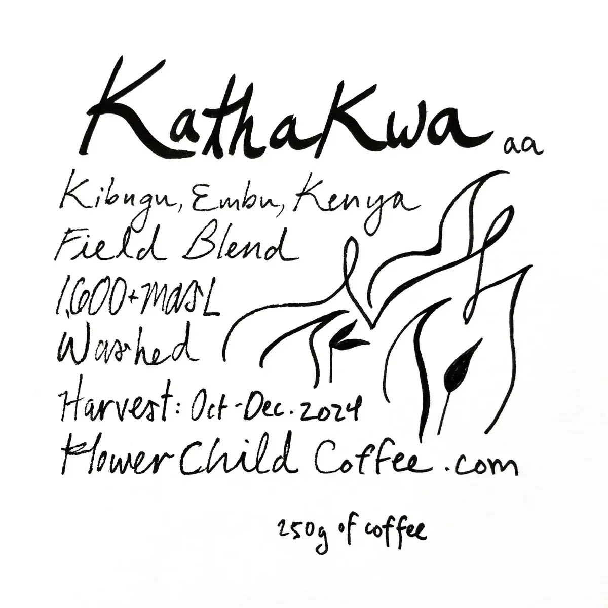 Kathakwa