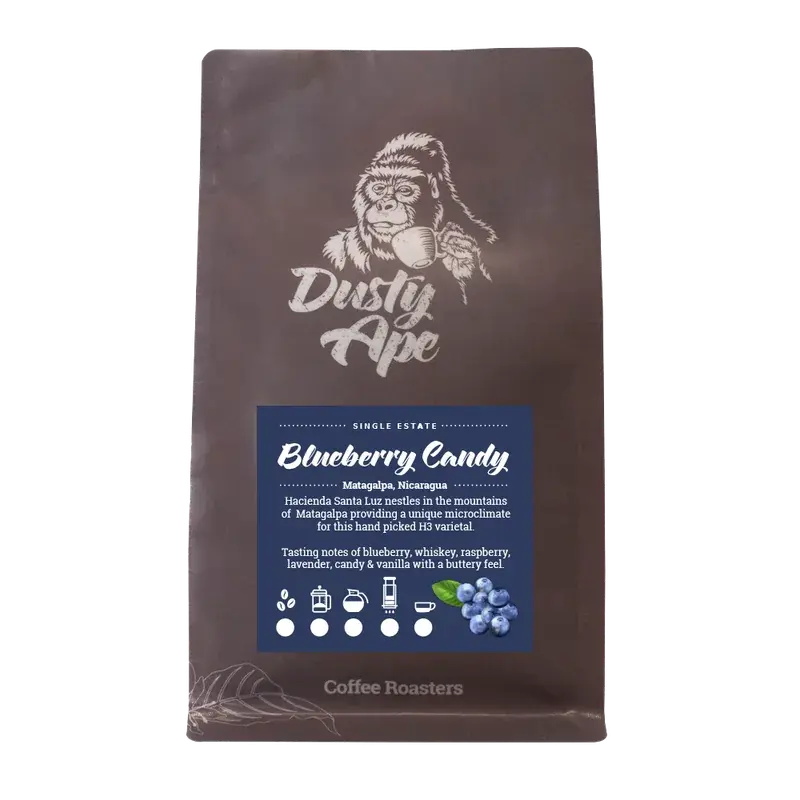 Nicaragua Blueberry Candy