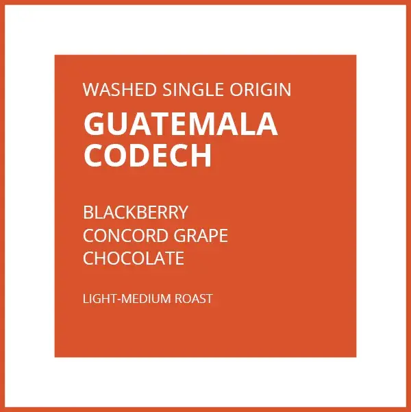 GUATEMALA CODECH