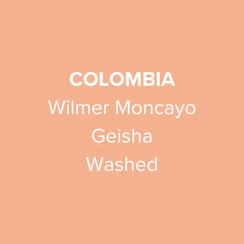 Colombia Wilmer Moncayo Geisha Washed Espresso