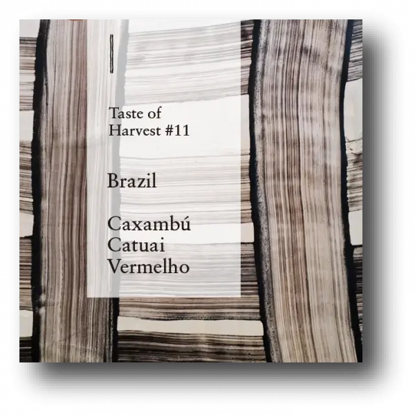 Brazil Taste of Harvest 2025 #11 Fazenda Caxambú Catuai Vermelho Fermented Natural