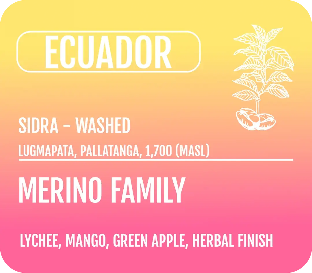 Ecuador - Washed Sidra