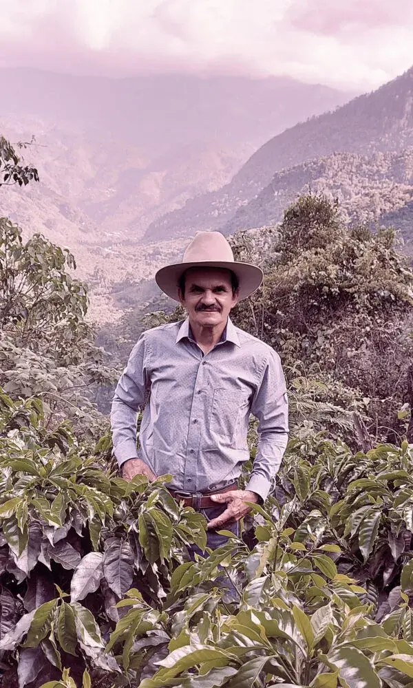 El Anonal