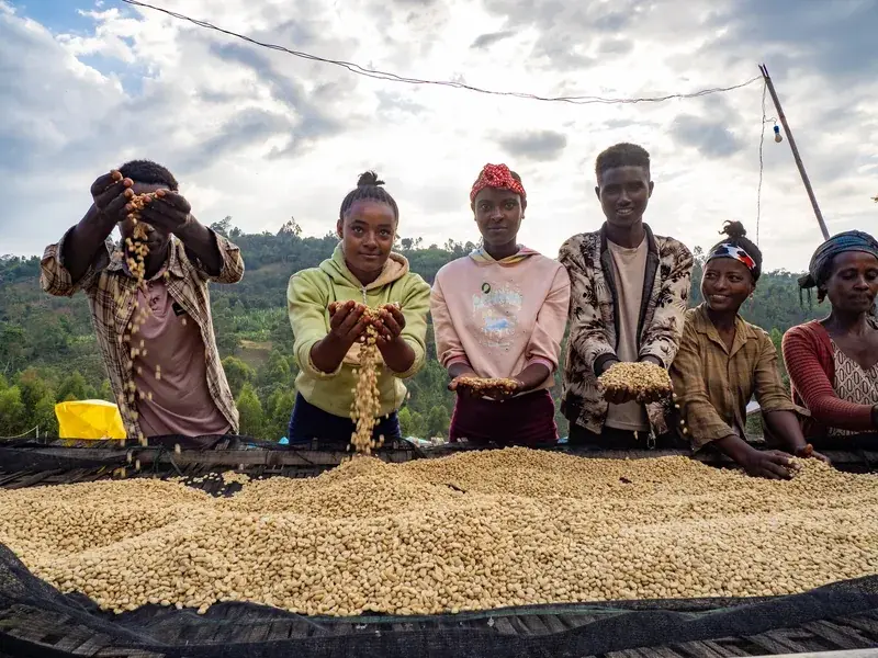Ethiopia Shantawene