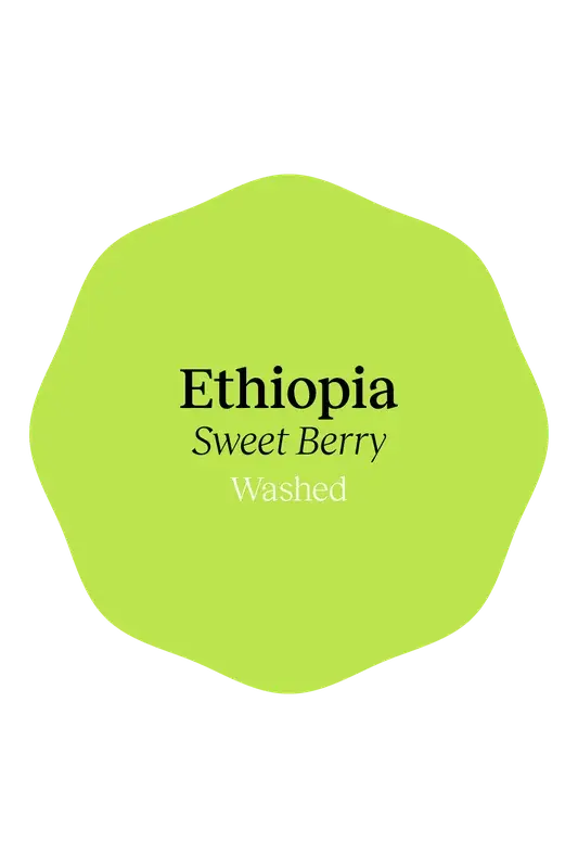 Ethiopia Yirgacheffe Sweet Berry