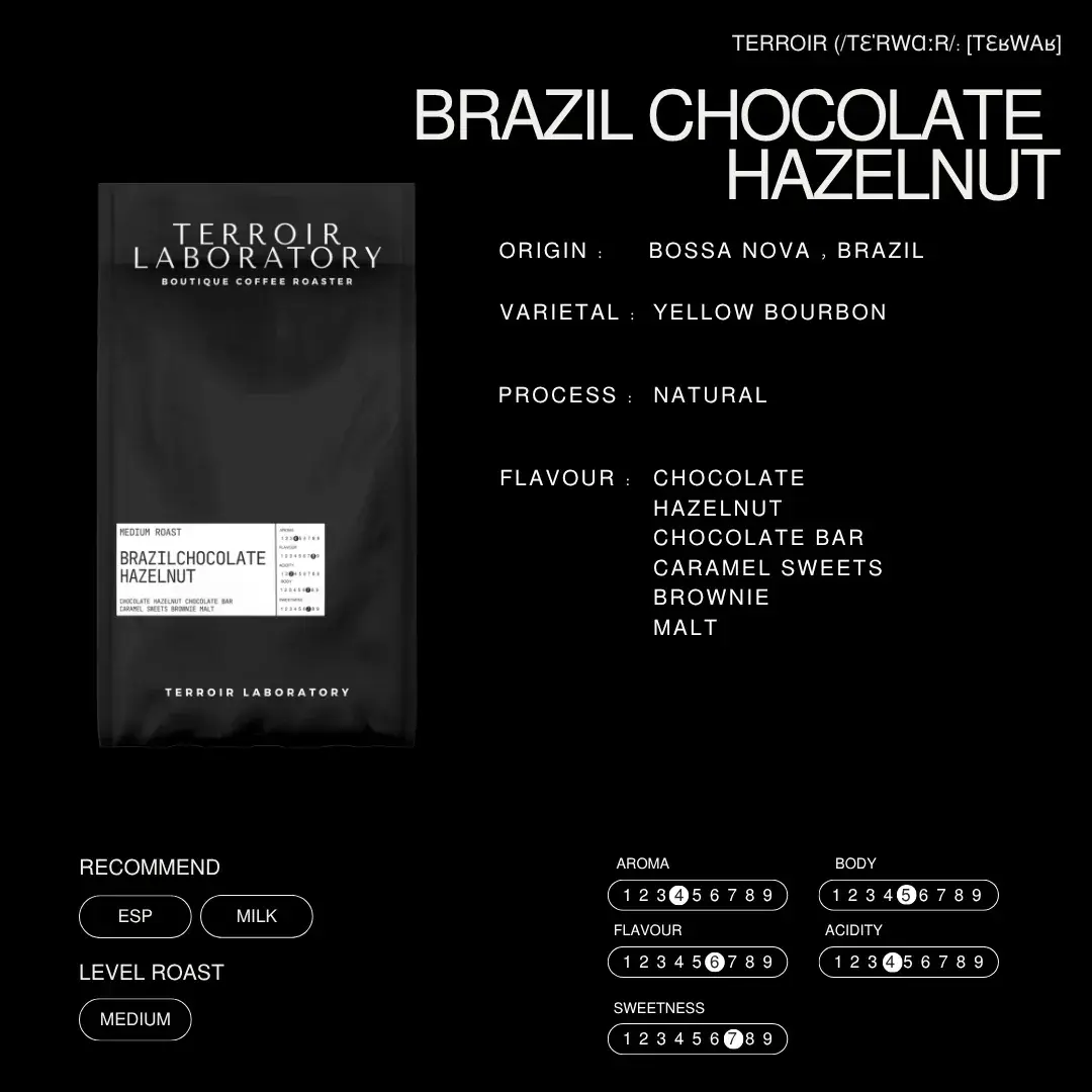 Brazil Chocolate Hazelnut
