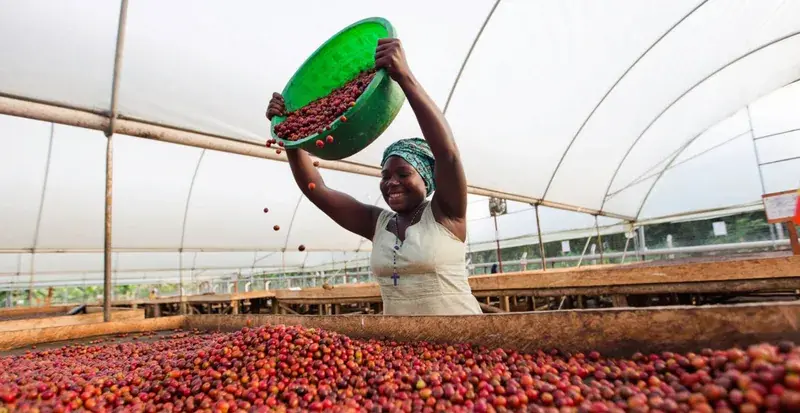 Bukonzo Dream Uganda