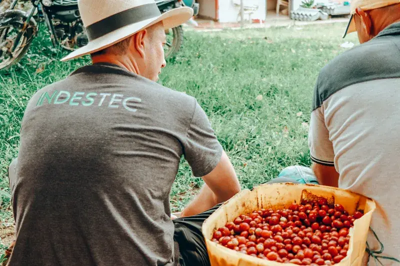 Colombia Finca El Paraiso Castillo Red Plum