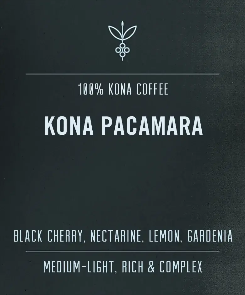 Kona Pacamara