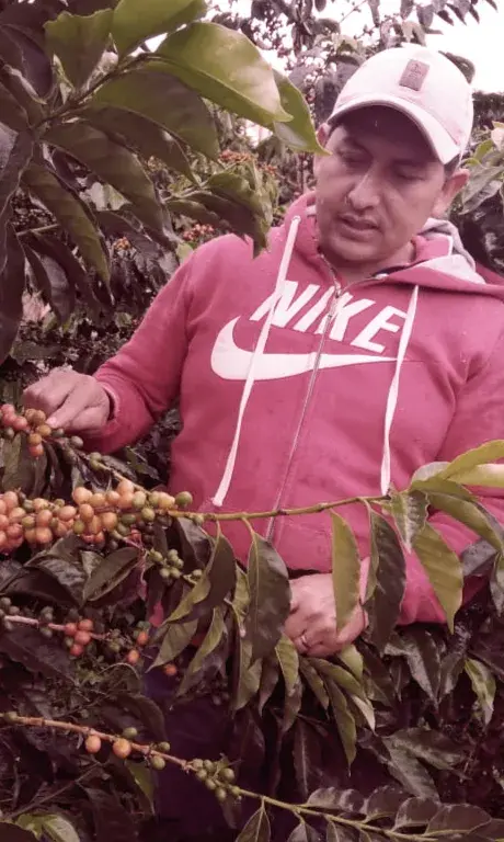 La Cristalina