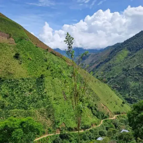 Colombia NASA WESX BIO