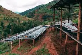 Rwanda Shyira Natural