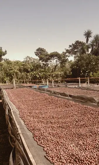 Mantiqueira